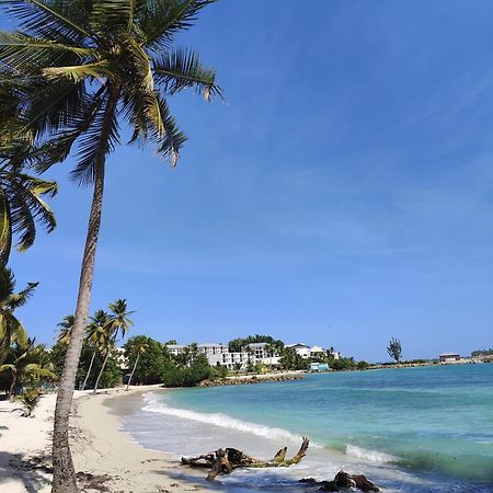Studio West-Indies Residence Savane Et Archipel เลอโกซิเยร์ ภายนอก รูปภาพ