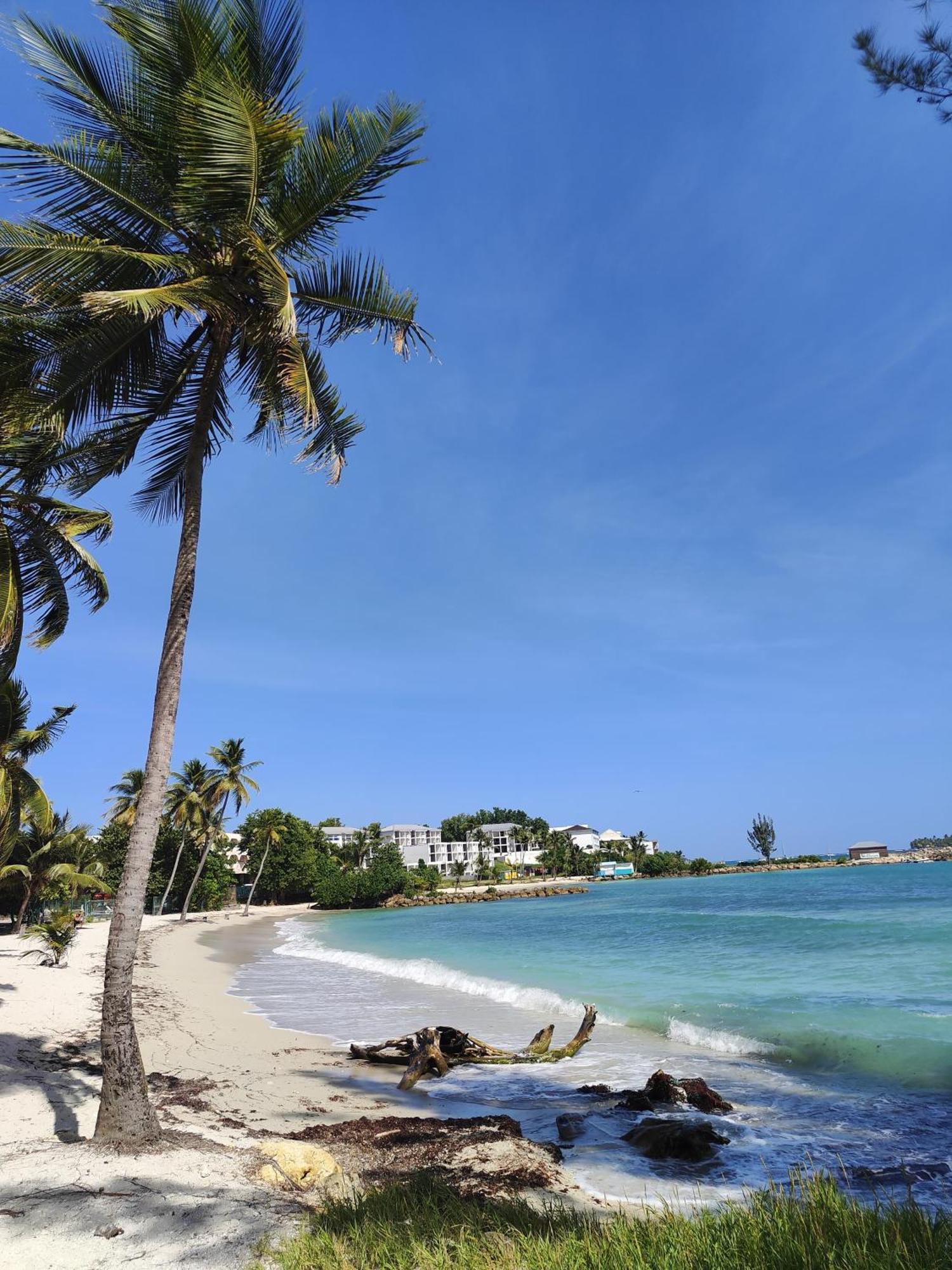Studio West-Indies Residence Savane Et Archipel เลอโกซิเยร์ ภายนอก รูปภาพ