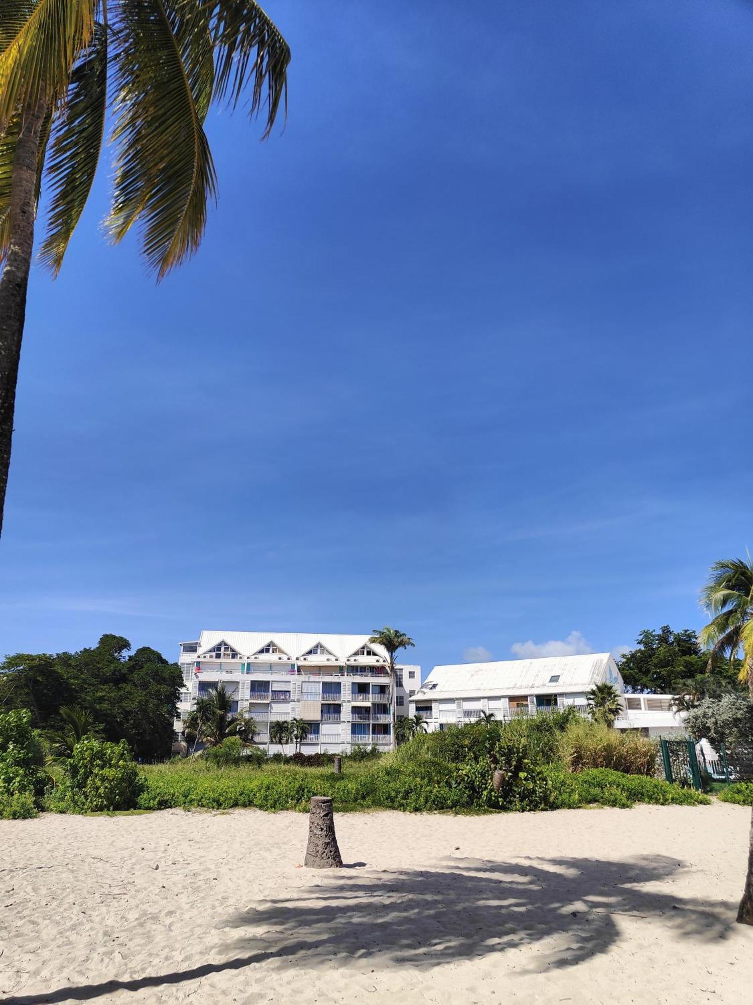 Studio West-Indies Residence Savane Et Archipel เลอโกซิเยร์ ภายนอก รูปภาพ