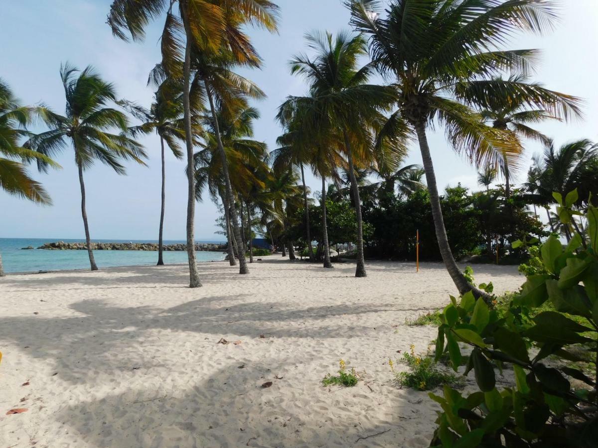 Studio West-Indies Residence Savane Et Archipel เลอโกซิเยร์ ภายนอก รูปภาพ